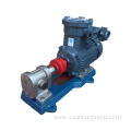 Lubricating vegetable sunflower oil Stainless steel gear pump